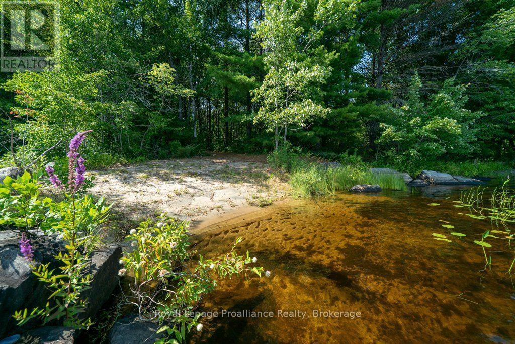 Lot 2 - 1402 Baker Valley Road, Central Frontenac, Ontario  K0H 1B0 - Photo 37 - X13703248