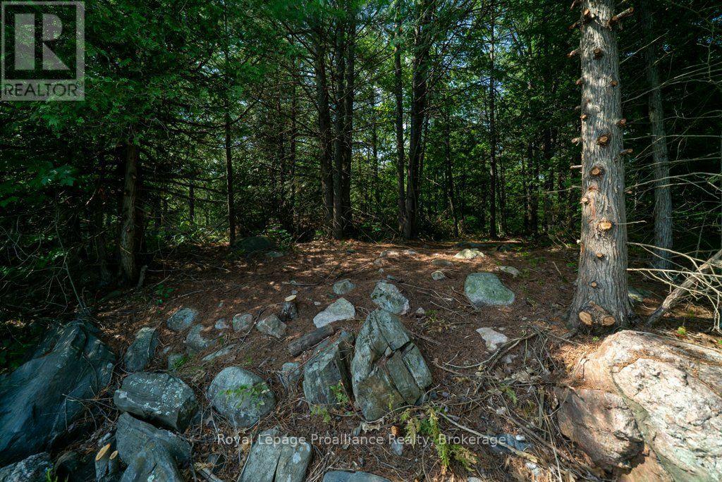 Lot 1 - 1412 Baker Valley Road, Frontenac, Ontario  K0H 1B0 - Photo 34 - X13703250