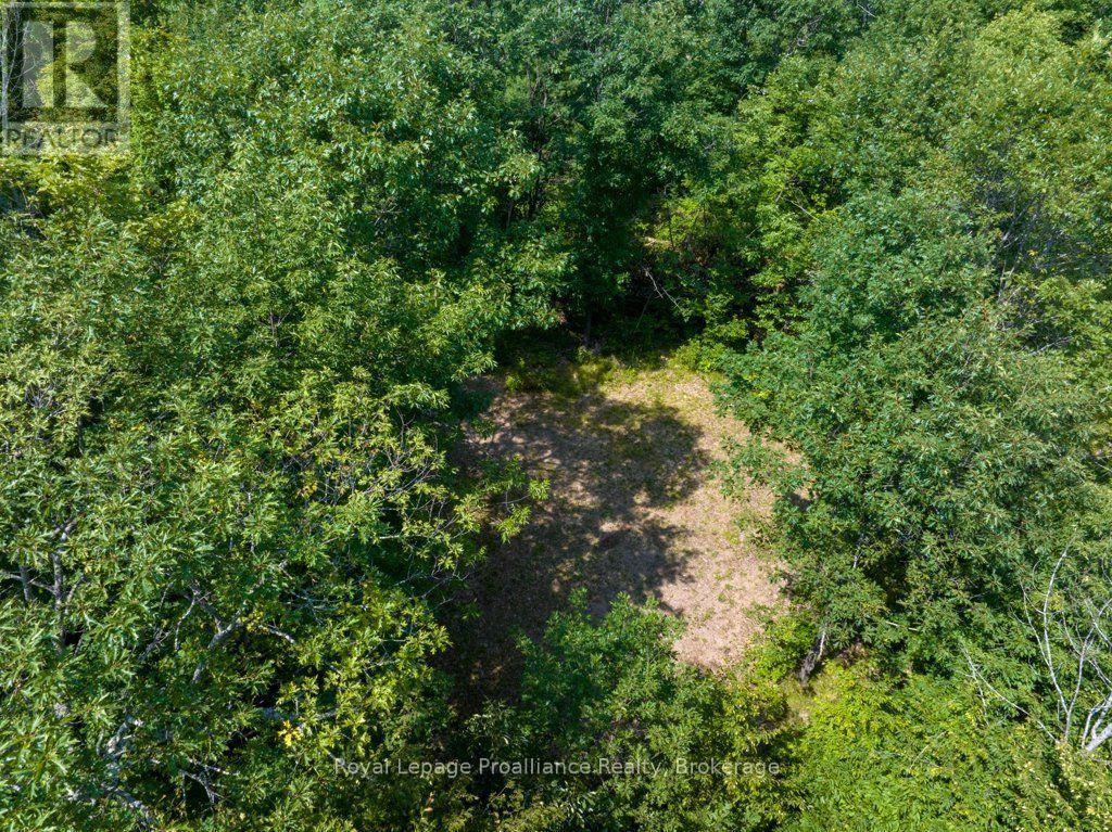 Lot 1 - 1412 Baker Valley Road, Frontenac, Ontario  K0H 1B0 - Photo 4 - X13703250