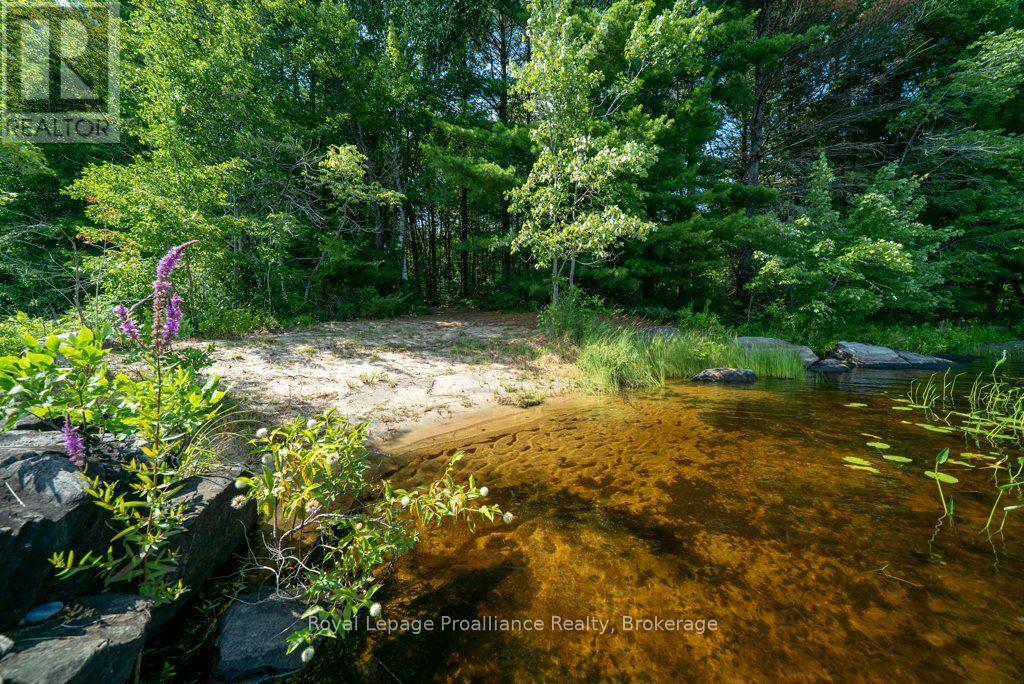 Lot 1 - 1412 Baker Valley Road, Frontenac, Ontario  K0H 1B0 - Photo 41 - X13703250
