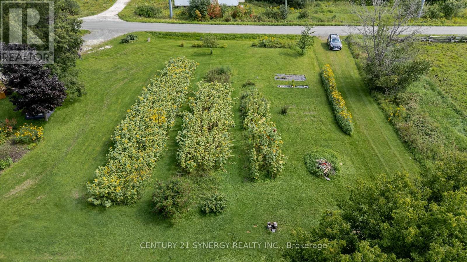 677 Bowes Side Road, Tay Valley, Ontario  K7H 3C6 - Photo 5 - X13703310