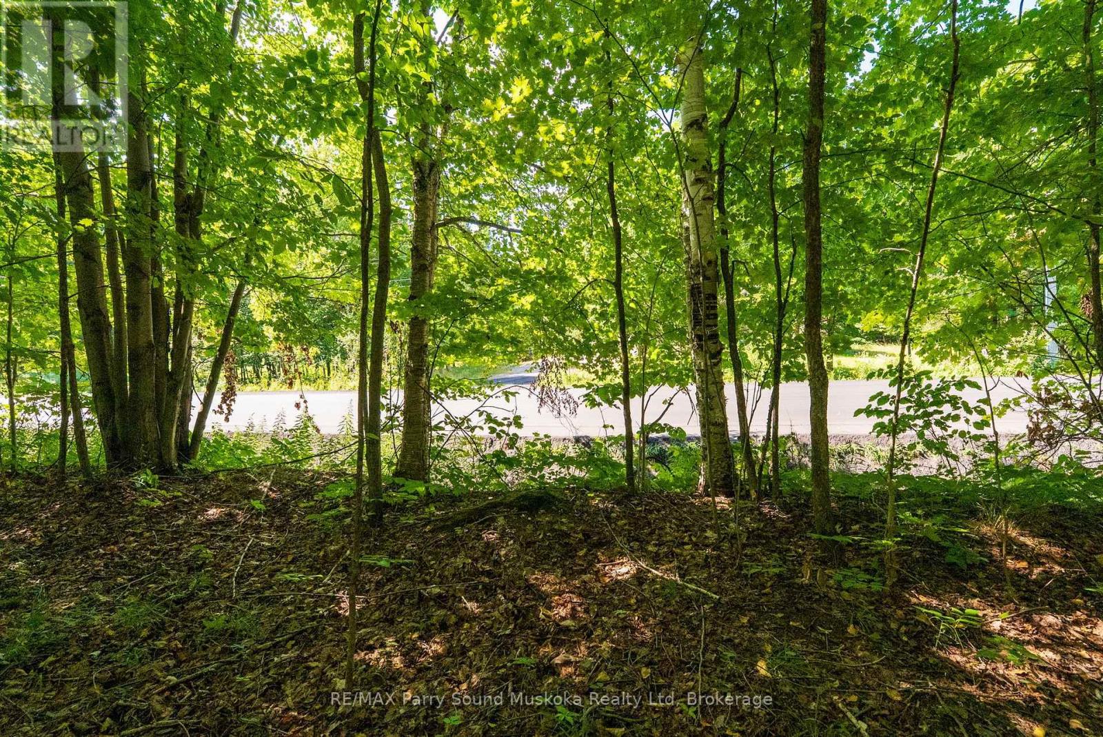 4 Mountain Basin Drive, Mcdougall, Ontario  P2A 2W9 - Photo 11 - X13703398