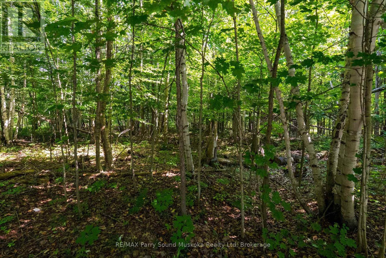 4 Mountain Basin Drive, Mcdougall, Ontario  P2A 2W9 - Photo 13 - X13703398