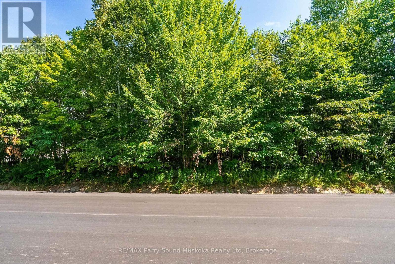 4 Mountain Basin Drive, Mcdougall, Ontario  P2A 2W9 - Photo 16 - X13703398
