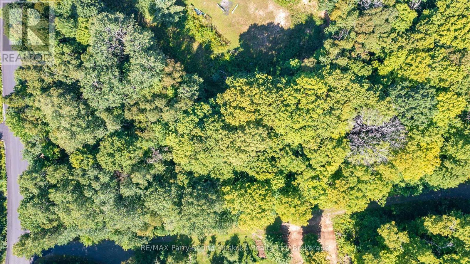 4 Mountain Basin Drive, Mcdougall, Ontario  P2A 2W9 - Photo 3 - X13703398