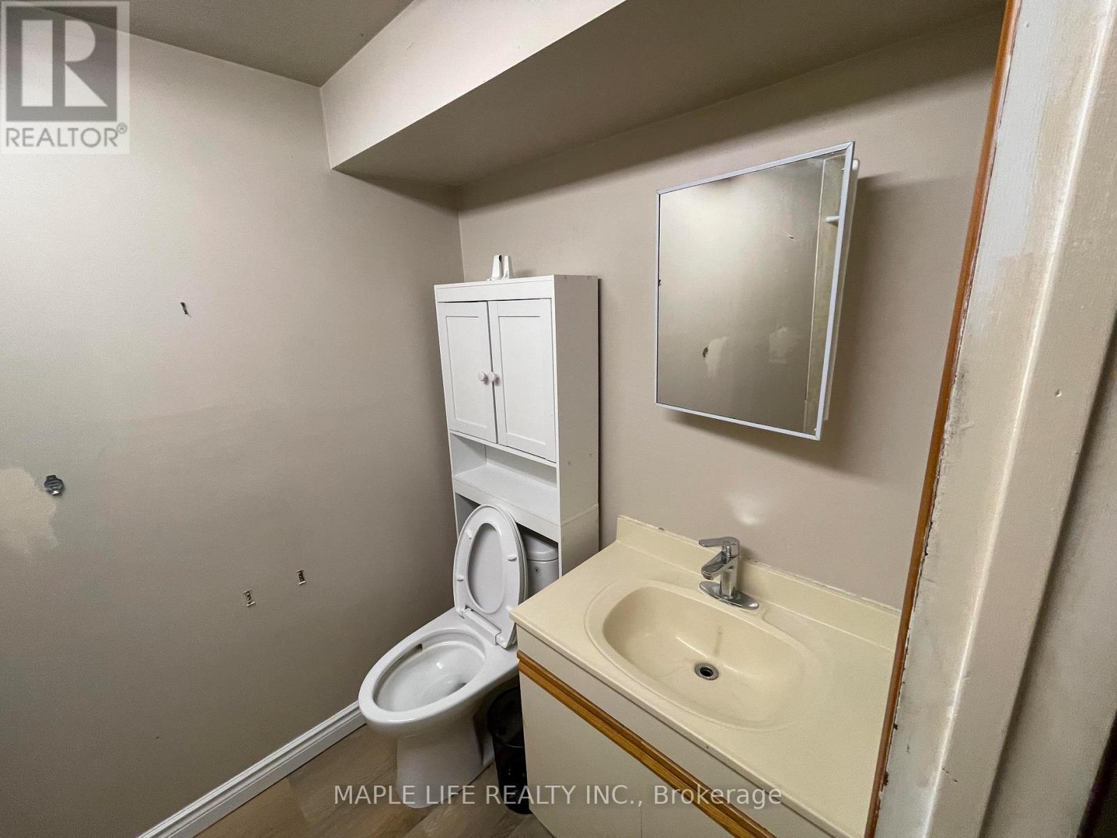 886bsmt Srigley Street, Newmarket, Ontario  L3Y 1X7 - Photo 9 - N13703510