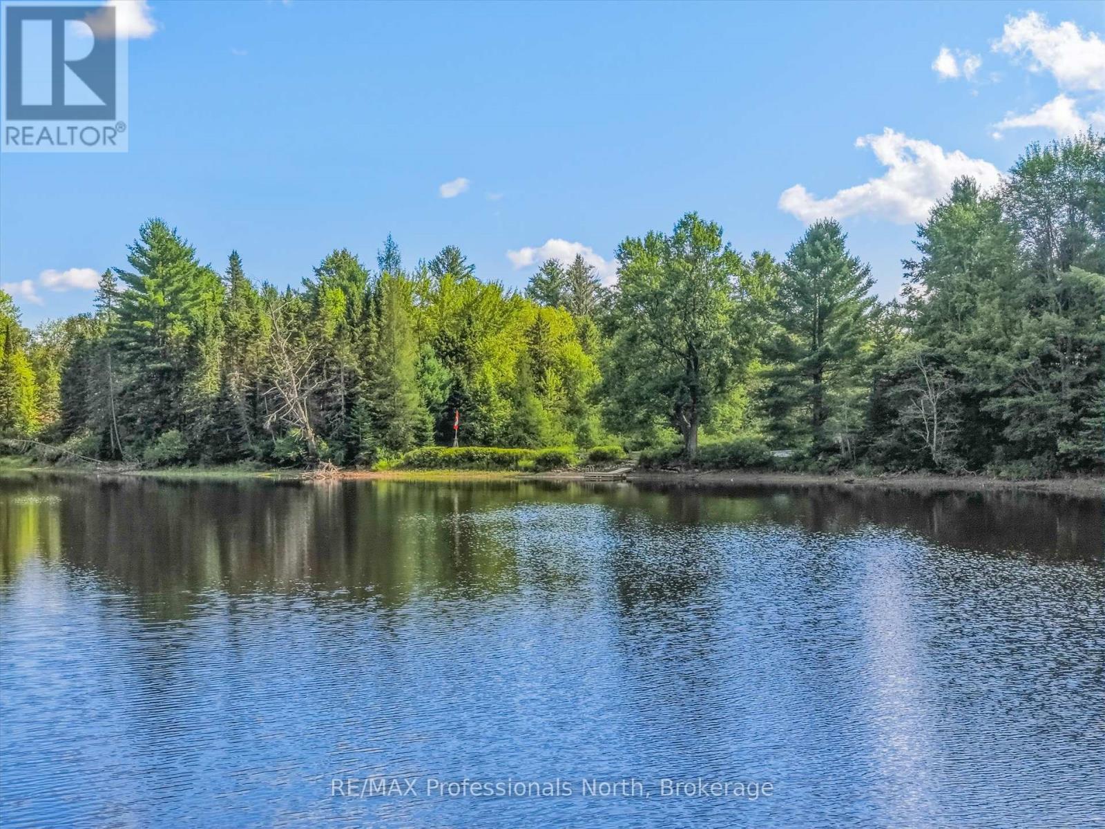 1001 Sherwood Forest Road, Bracebridge, Ontario  P1L 1X3 - Photo 4 - X13703530