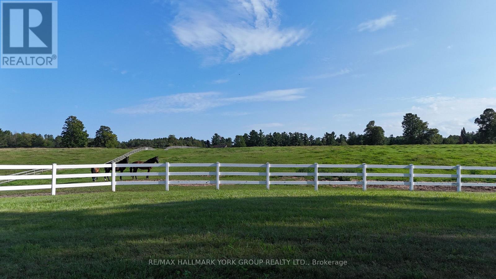16979 Ninth Line, Whitchurch-Stouffville, Ontario  L0G 1M0 - Photo 36 - N13693570