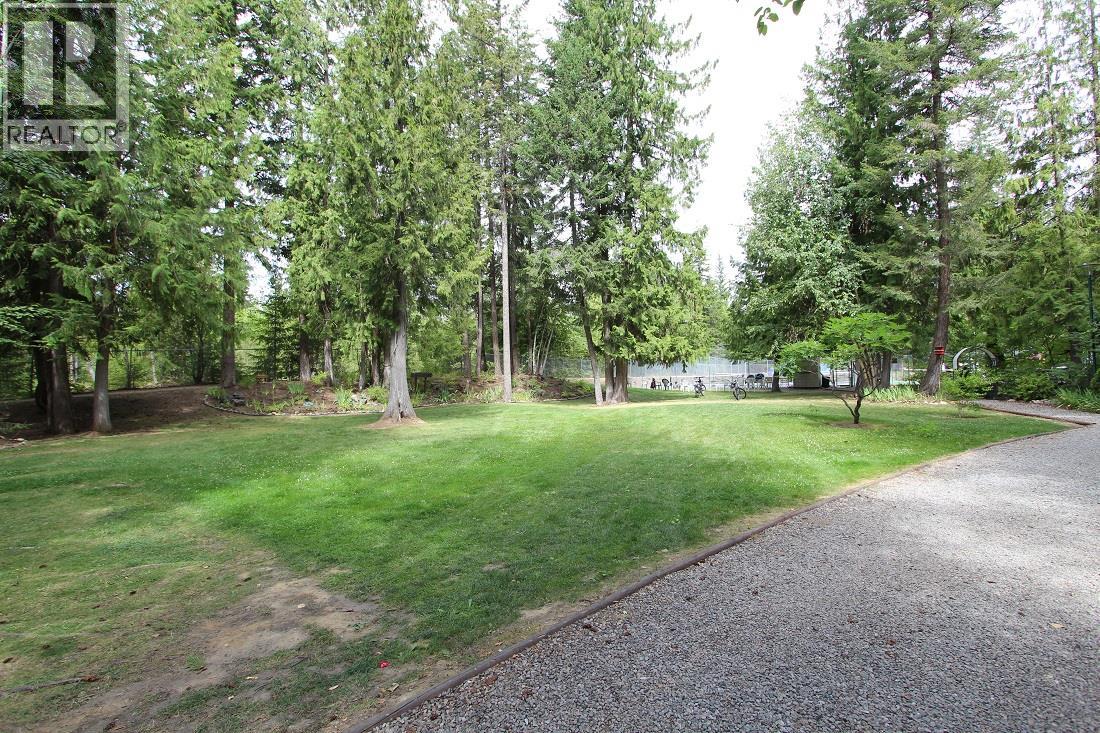 3980 Squilax Anglemont Road Unit# 105, Scotch Creek, British Columbia  V0E 1M5 - Photo 24 - 10397447