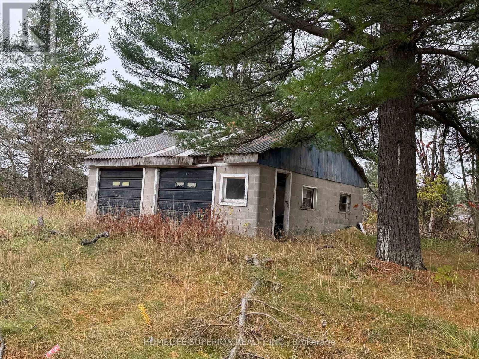 7963 Hwy 7, Havelock-Belmont-Methuen, Ontario  K0L 1Z0 - Photo 6 - X13670526