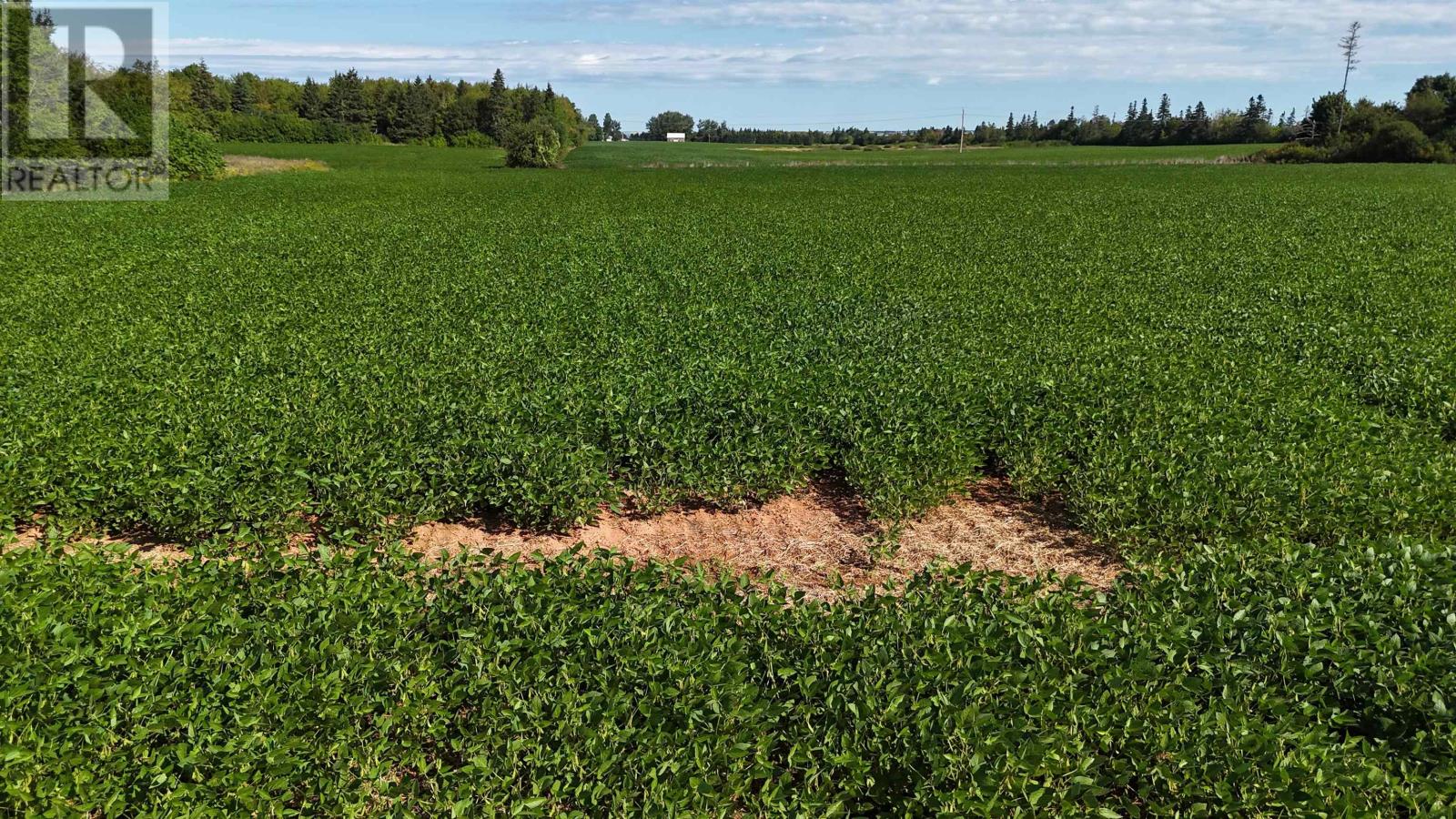 0 All Weather Highway, Travellers Rest, Prince Edward Island  C1N 4J8 - Photo 8 - 202621001