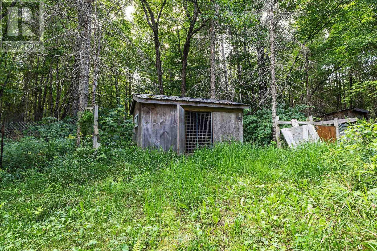 88 Rye Road, Parry Sound Remote Area, Ontario  P0A 1X0 - Photo 26 - X13703782
