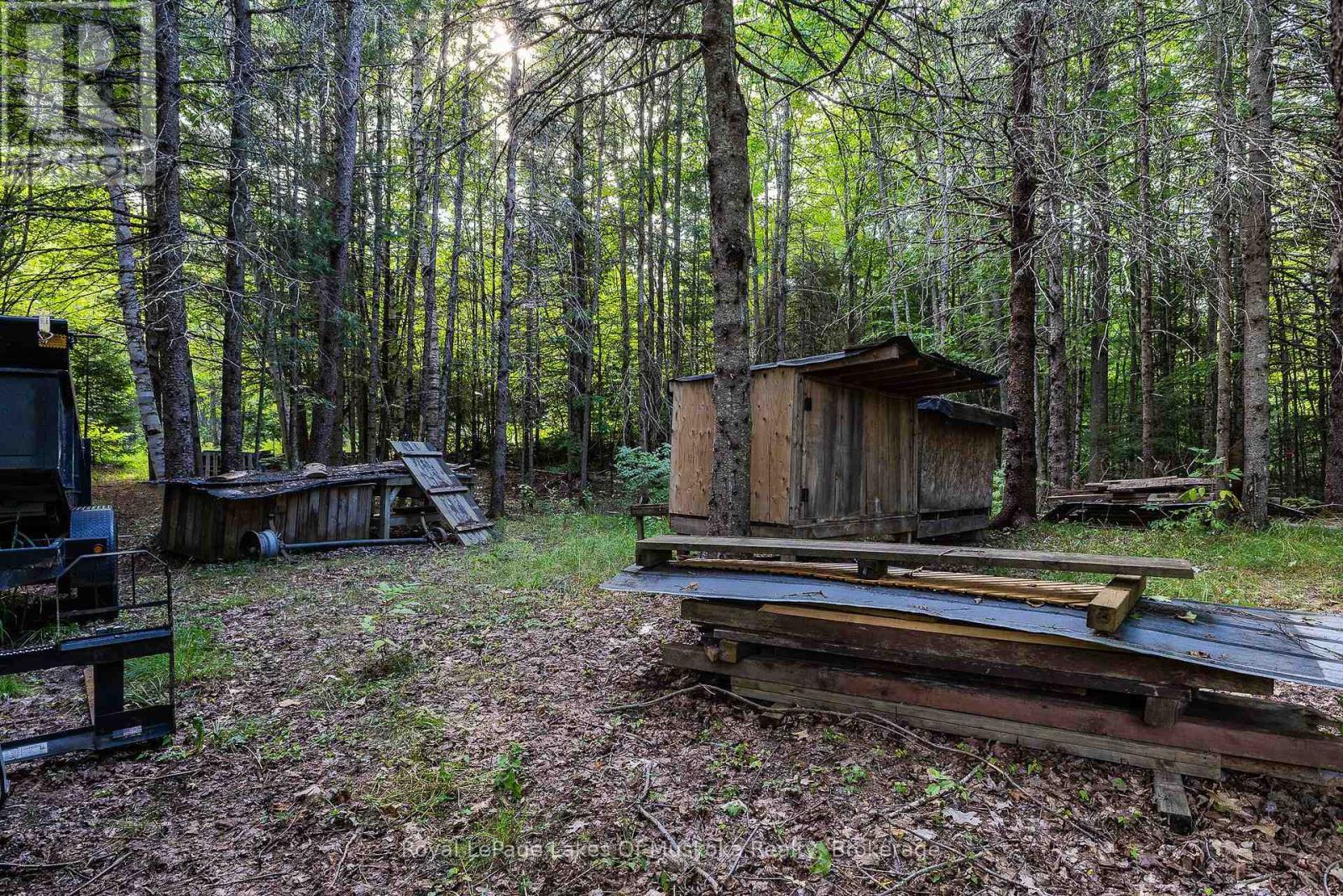 88 Rye Road, Parry Sound Remote Area, Ontario  P0A 1X0 - Photo 28 - X13703782