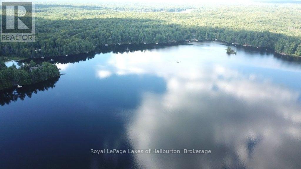 481 Crego Lake Road, Kawartha Lakes, Ontario  K0M 2A0 - Photo 28 - X13702802