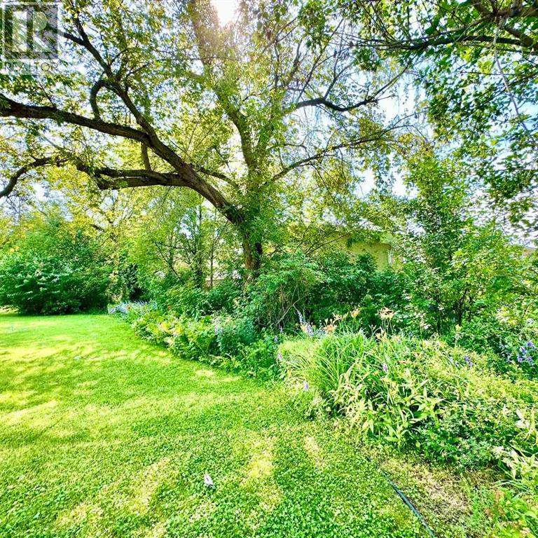 picture 41