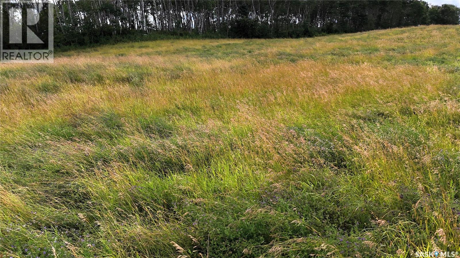 Benke Farm, Canwood Rm No. 494, Saskatchewan  S0J 2G0 - Photo 5 - SK046362