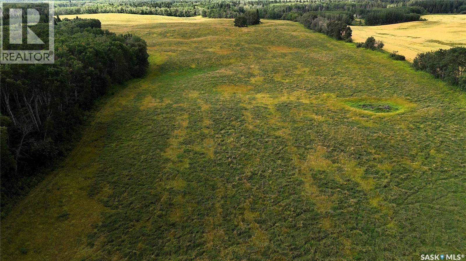 Benke Farm, Canwood Rm No. 494, Saskatchewan  S0J 2G0 - Photo 6 - SK046362