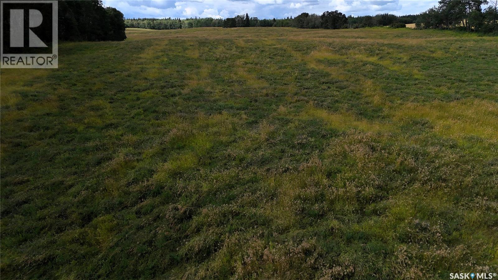 Benke Farm, Canwood Rm No. 494, Saskatchewan  S0J 2G0 - Photo 7 - SK046362