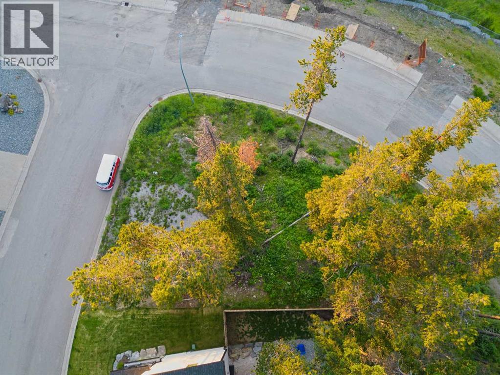 205 Southmore Place, Blairmore, Alberta  T0K 0E0 - Photo 3 - A2328253