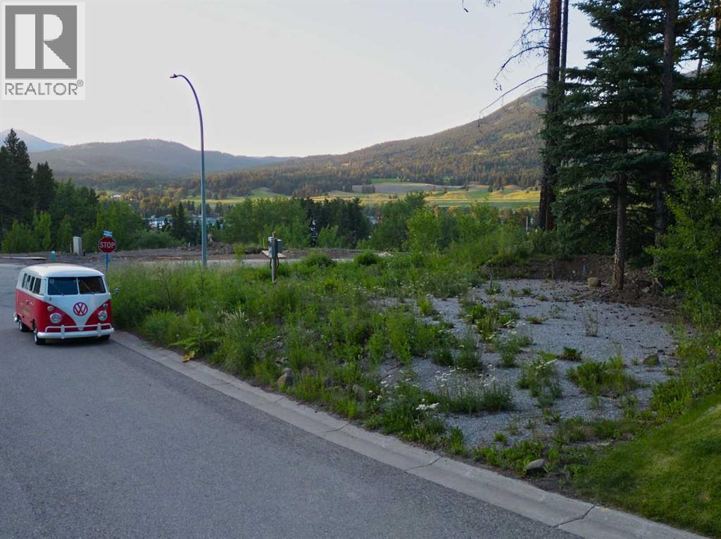 205 Southmore Place, Blairmore, Alberta  T0K 0E0 - Photo 4 - A2328253