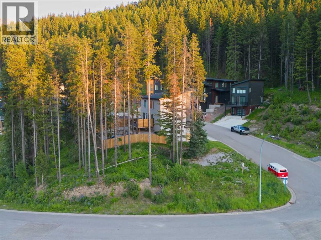 205 Southmore Place, Blairmore, Alberta  T0K 0E0 - Photo 5 - A2328253
