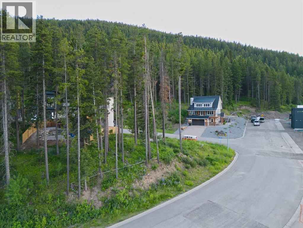 205 Southmore Place, Blairmore, Alberta  T0K 0E0 - Photo 6 - A2328253