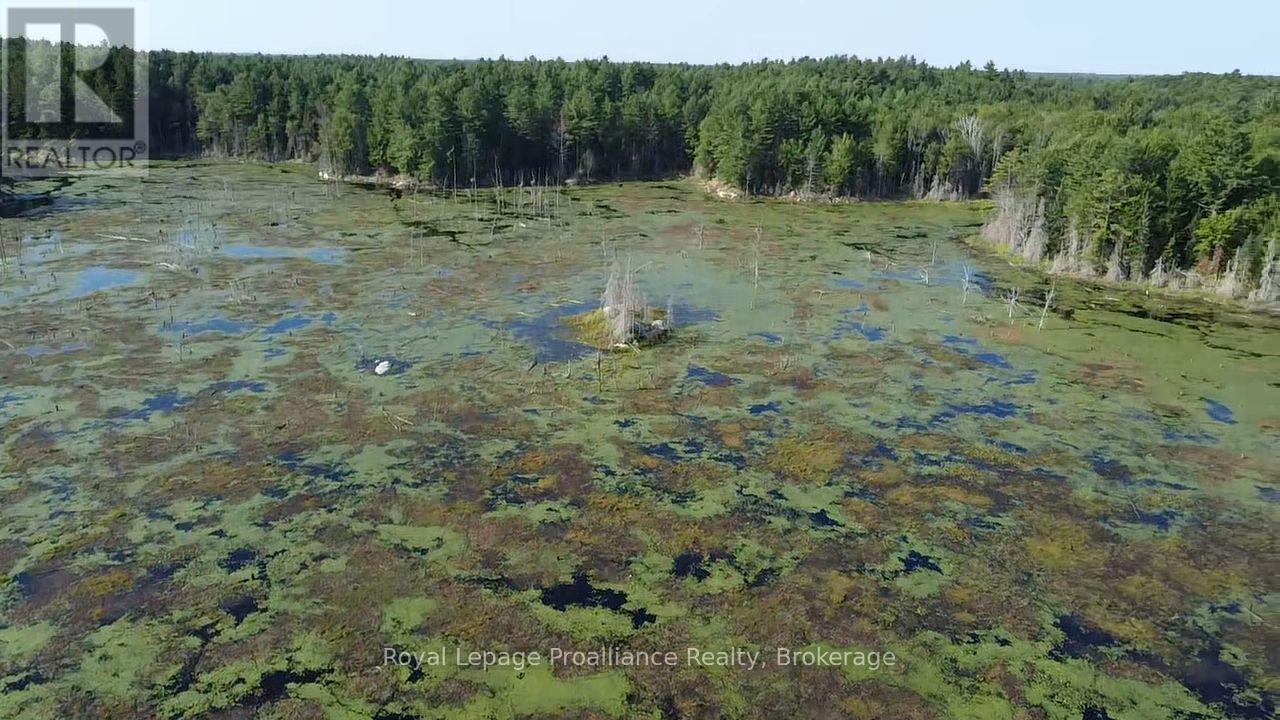 Pl29c10 Kennebec Road, Addington Highlands, Ontario  K0H 2G0 - Photo 10 - X13704028