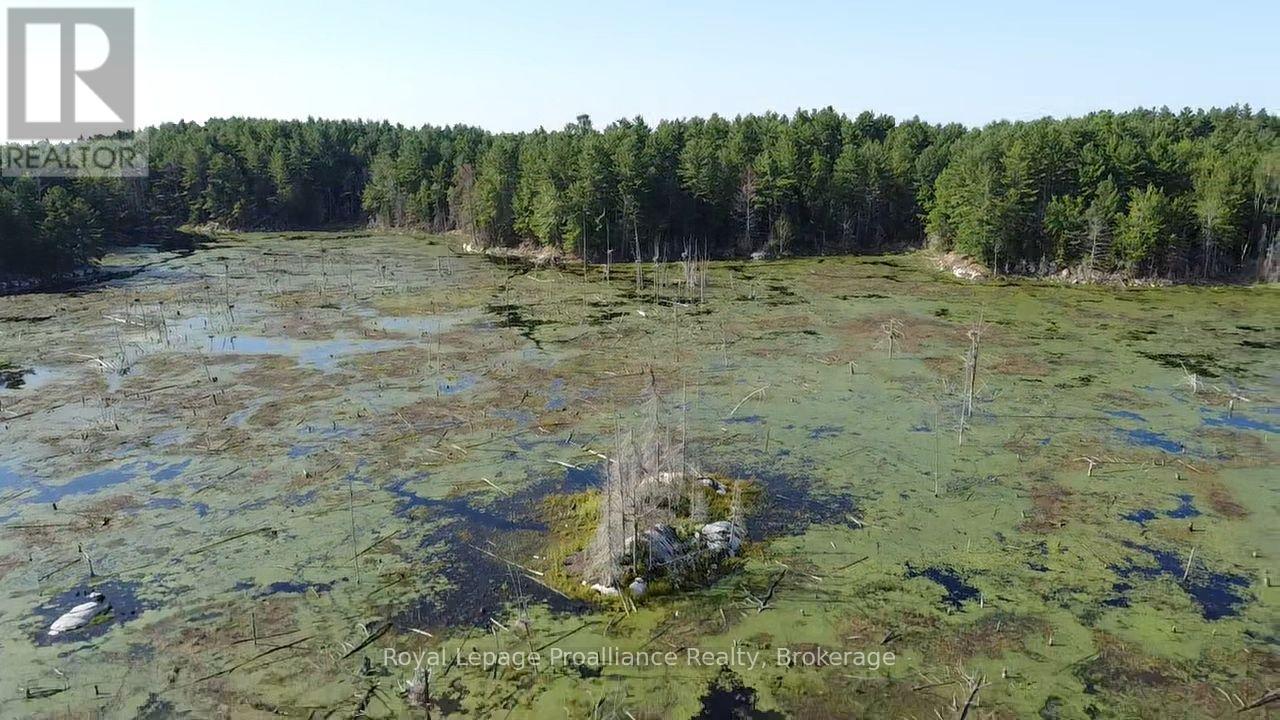 Pl29c10 Kennebec Road, Addington Highlands, Ontario  K0H 2G0 - Photo 11 - X13704028
