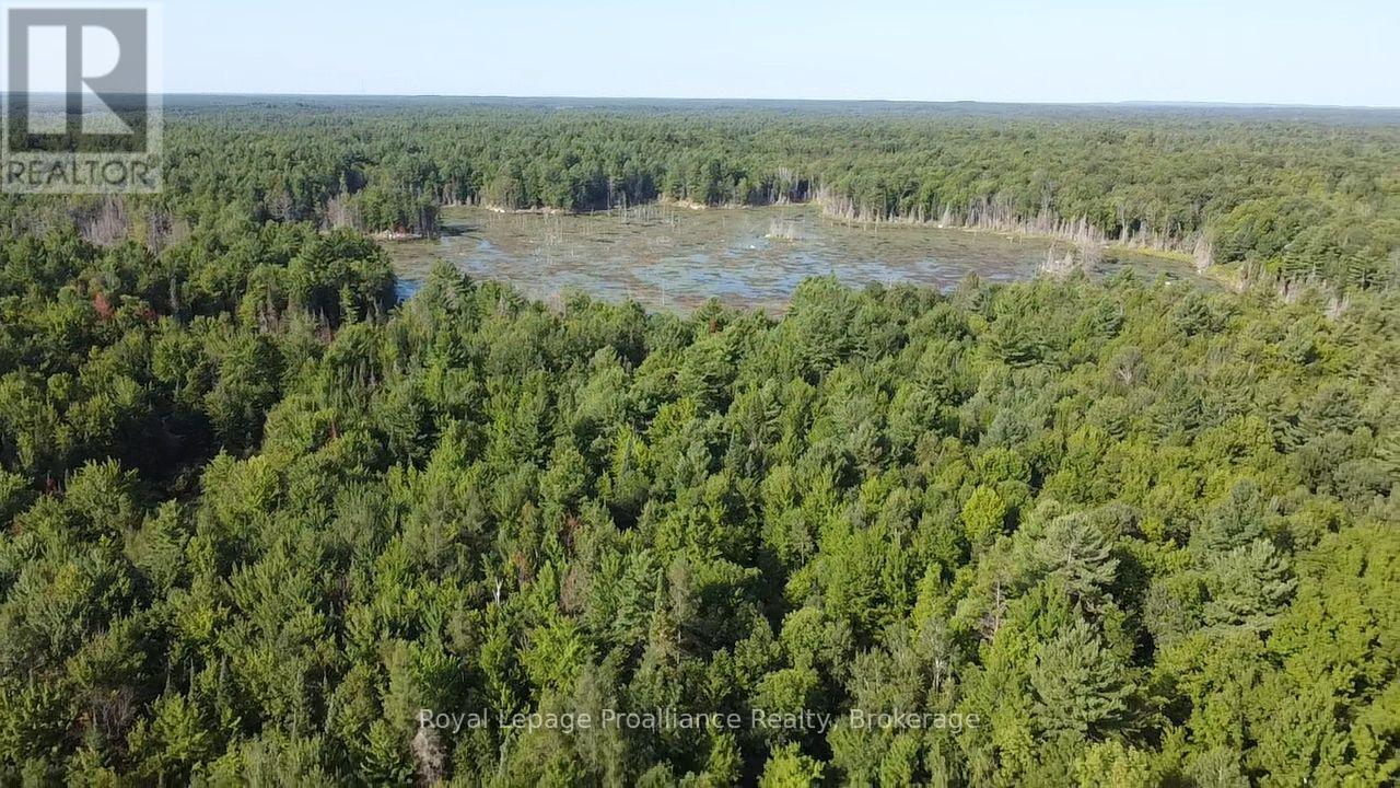 Pl29c10 Kennebec Road, Addington Highlands, Ontario  K0H 2G0 - Photo 14 - X13704028