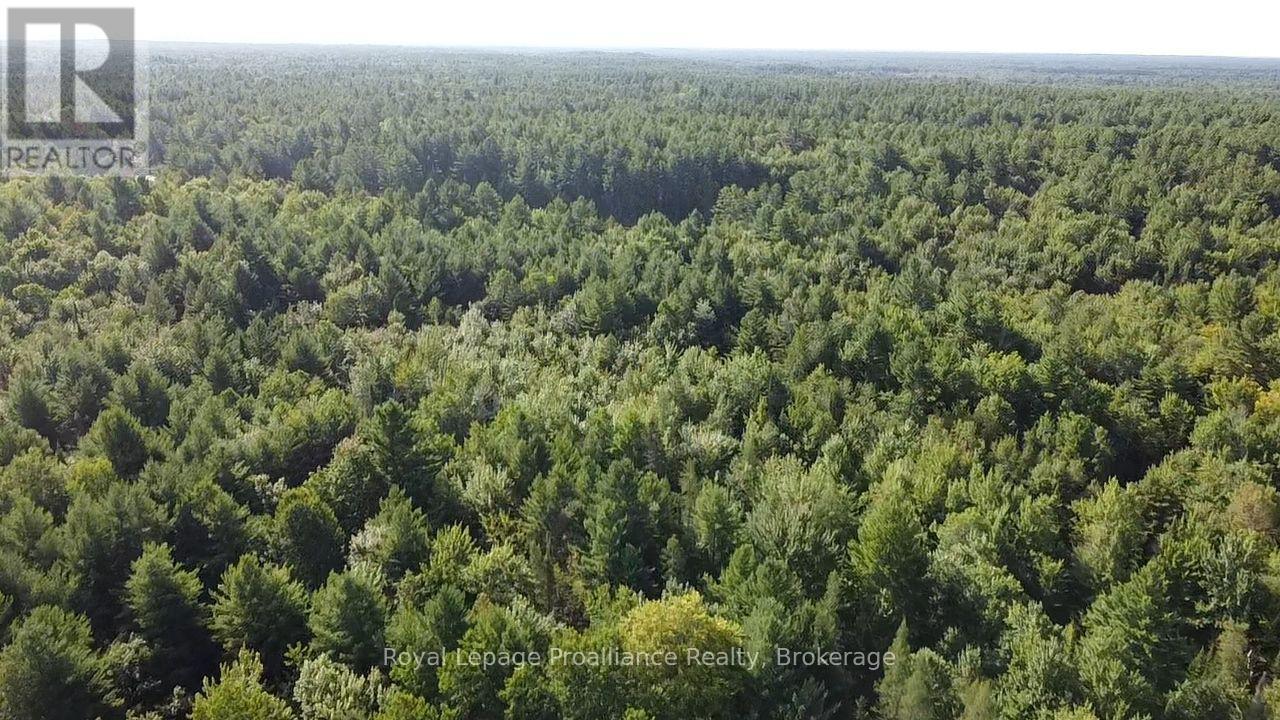 Pl29c10 Kennebec Road, Addington Highlands, Ontario  K0H 2G0 - Photo 15 - X13704028
