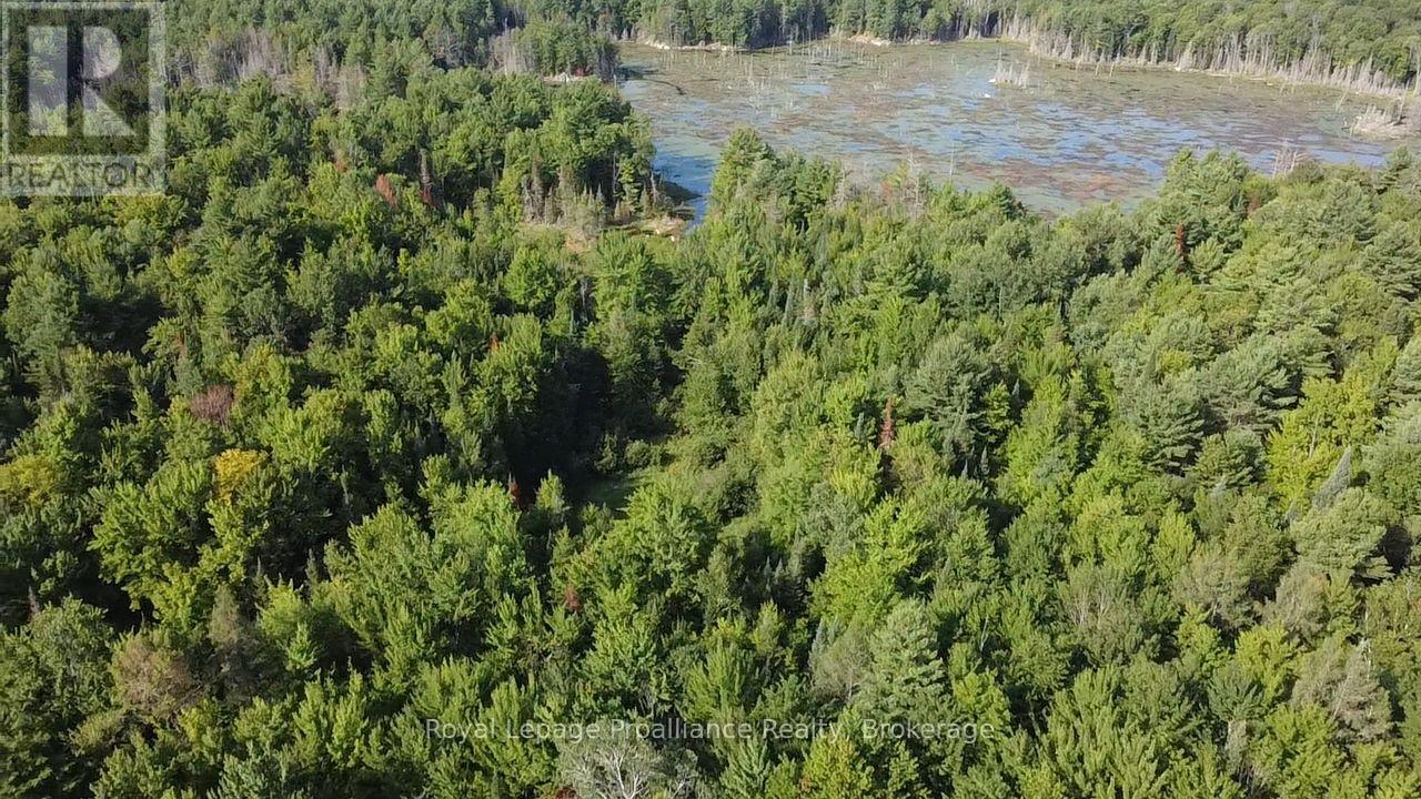 Pl29c10 Kennebec Road, Addington Highlands, Ontario  K0H 2G0 - Photo 16 - X13704028