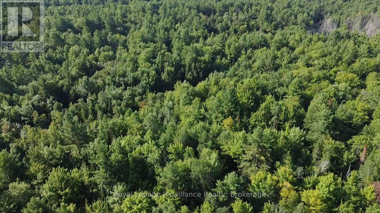 Pl29c10 Kennebec Road, Addington Highlands, Ontario  K0H 2G0 - Photo 17 - X13704028
