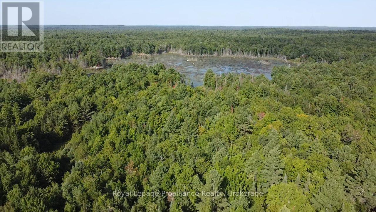 Pl29c10 Kennebec Road, Addington Highlands, Ontario  K0H 2G0 - Photo 18 - X13704028