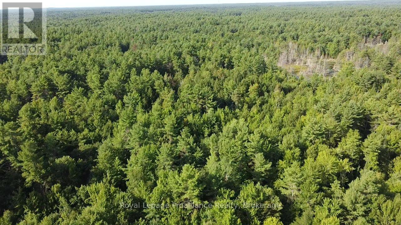 Pl29c10 Kennebec Road, Addington Highlands, Ontario  K0H 2G0 - Photo 19 - X13704028