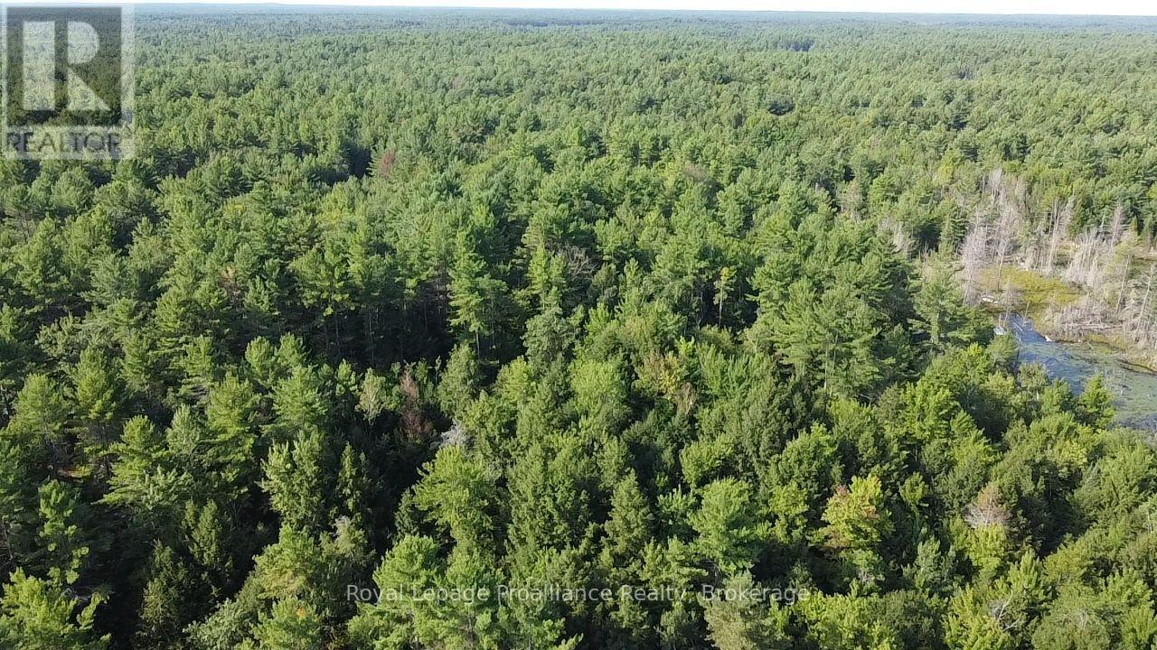 Pl29c10 Kennebec Road, Addington Highlands, Ontario  K0H 2G0 - Photo 20 - X13704028