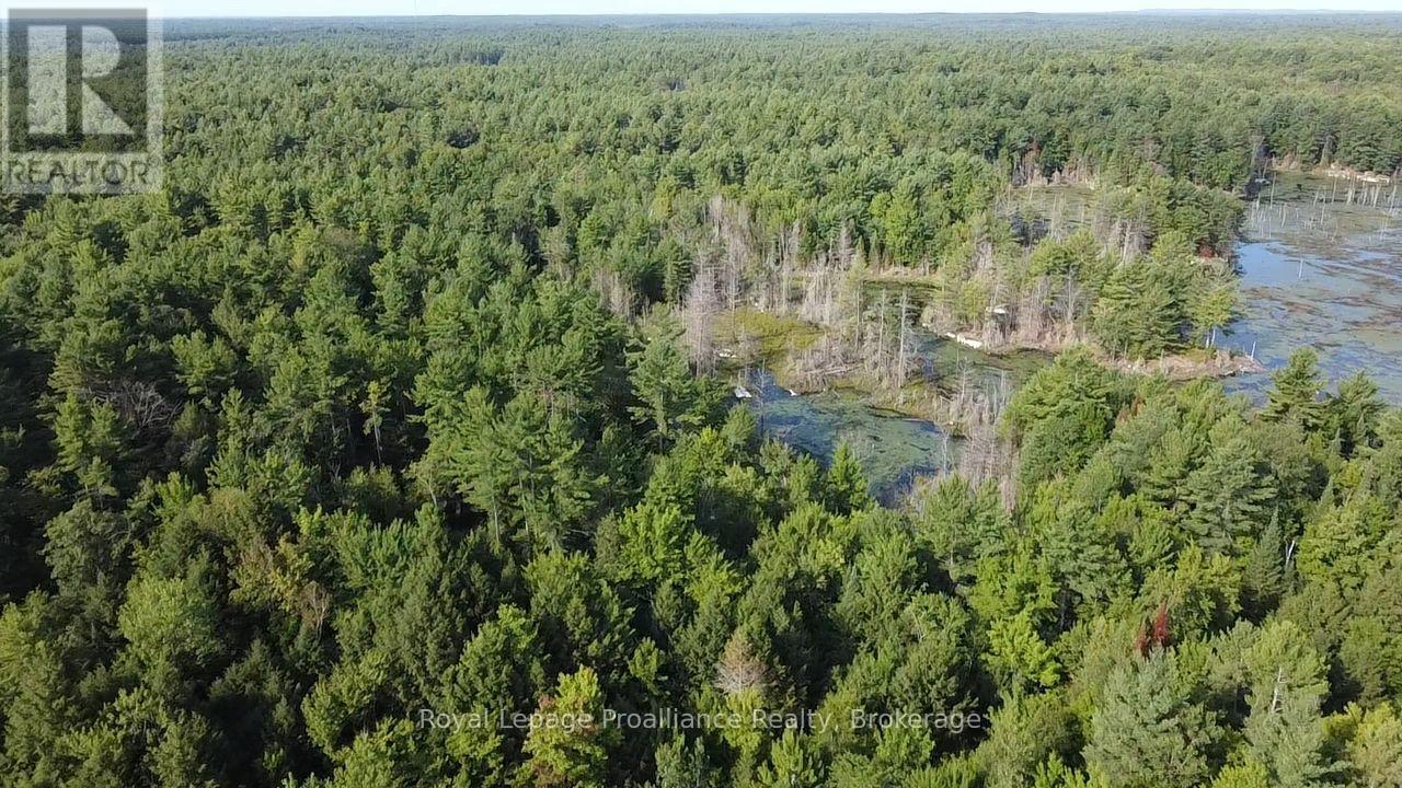 Pl29c10 Kennebec Road, Addington Highlands, Ontario  K0H 2G0 - Photo 22 - X13704028