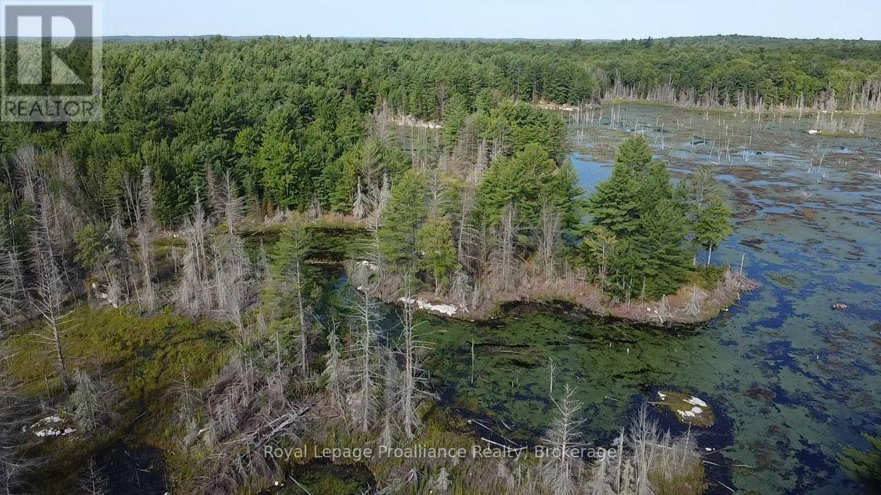Pl29c10 Kennebec Road, Addington Highlands, Ontario  K0H 2G0 - Photo 23 - X13704028