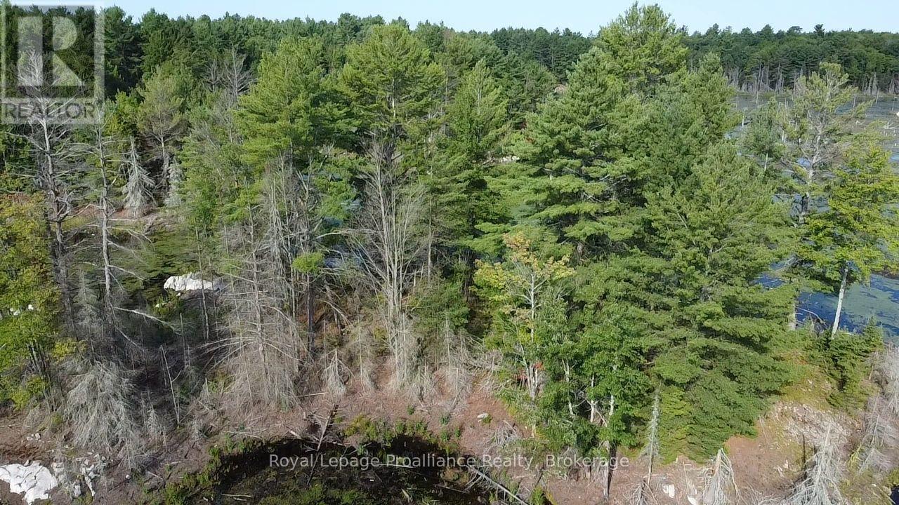 Pl29c10 Kennebec Road, Addington Highlands, Ontario  K0H 2G0 - Photo 3 - X13704028