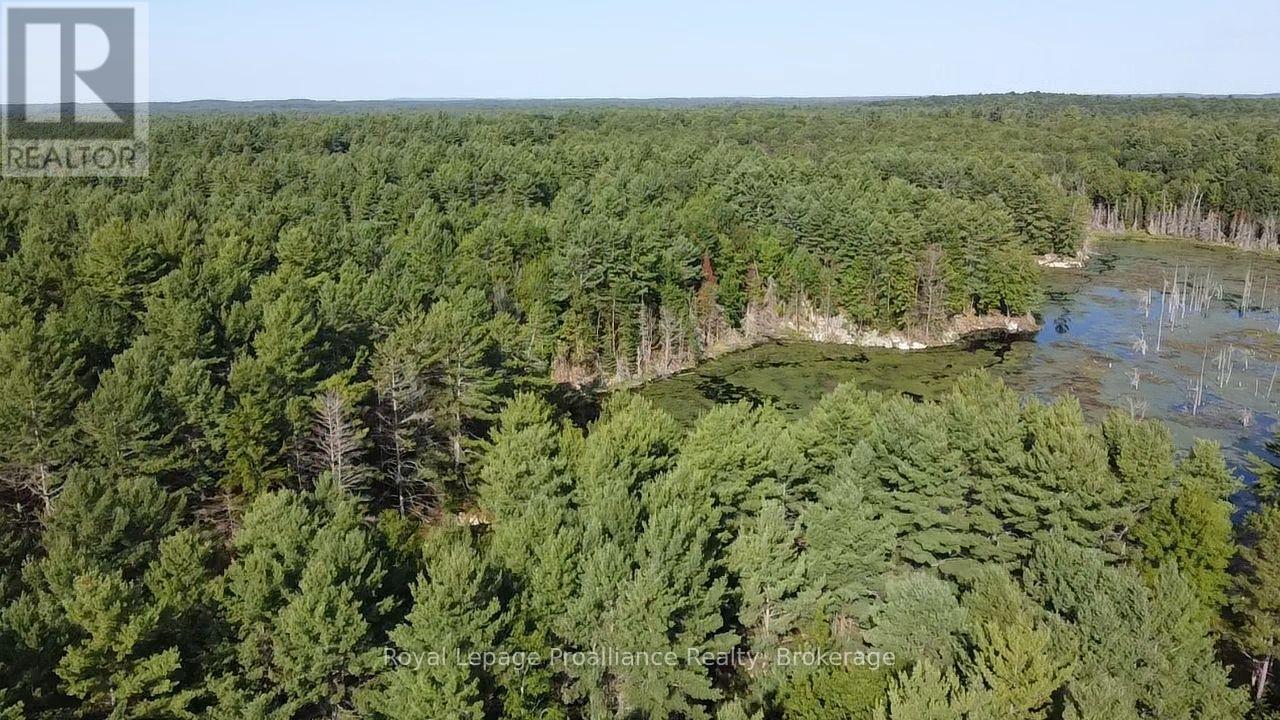 Pl29c10 Kennebec Road, Addington Highlands, Ontario  K0H 2G0 - Photo 6 - X13704028