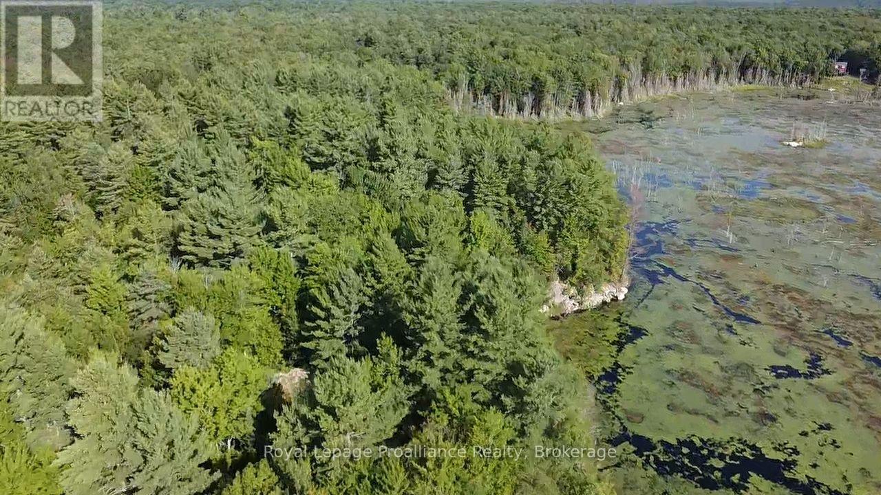 Pl29c10 Kennebec Road, Addington Highlands, Ontario  K0H 2G0 - Photo 8 - X13704028