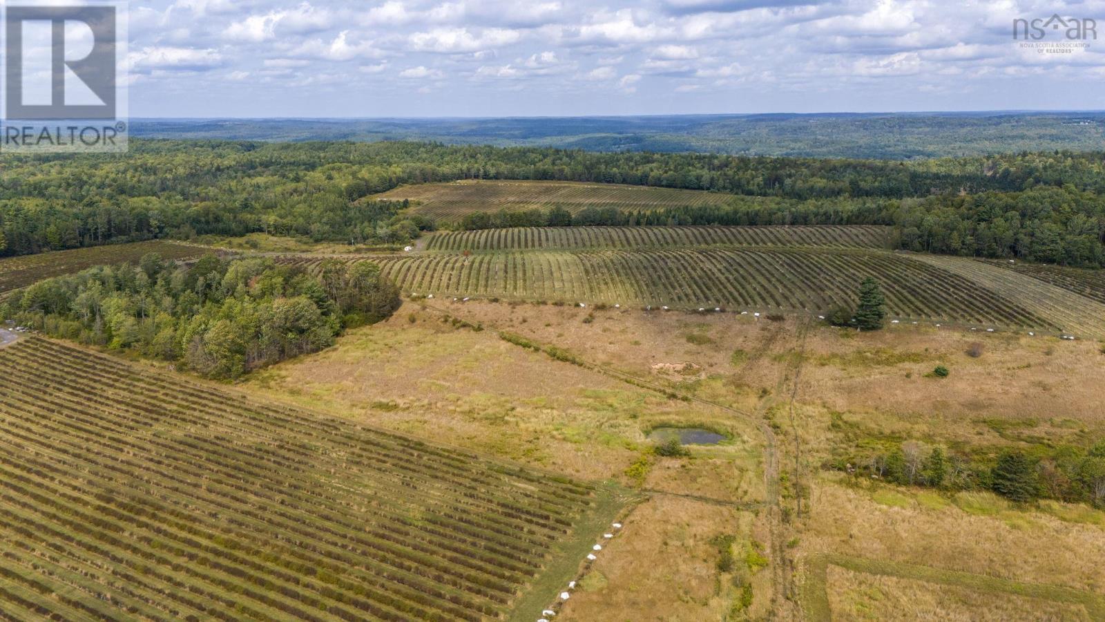 Lot L2a Lower Branch Road, New Canada, Nova Scotia  B4V 4V5 - Photo 1 - 202523011