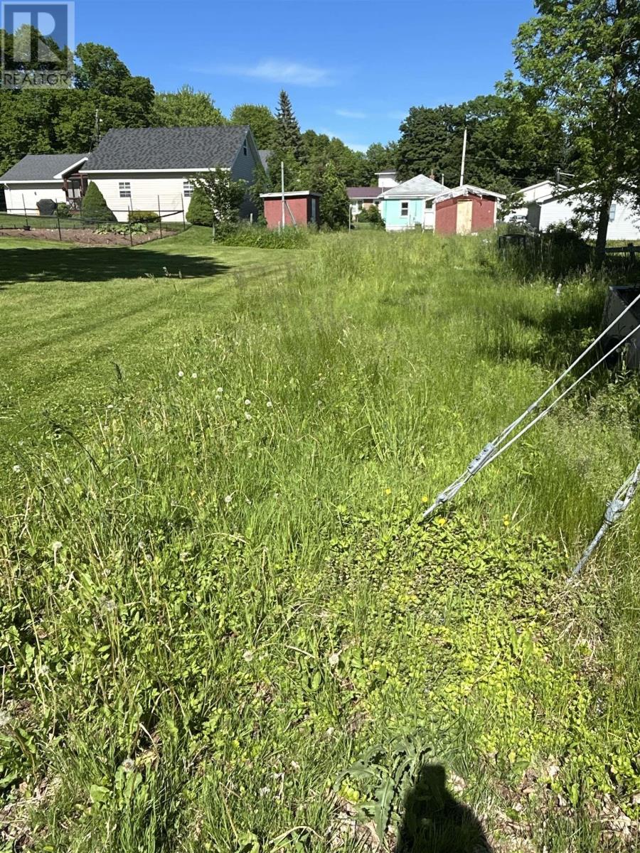 Lot Taylor Street, Pictou, Nova Scotia B0K 1H0 - Photo 3 - 202614740