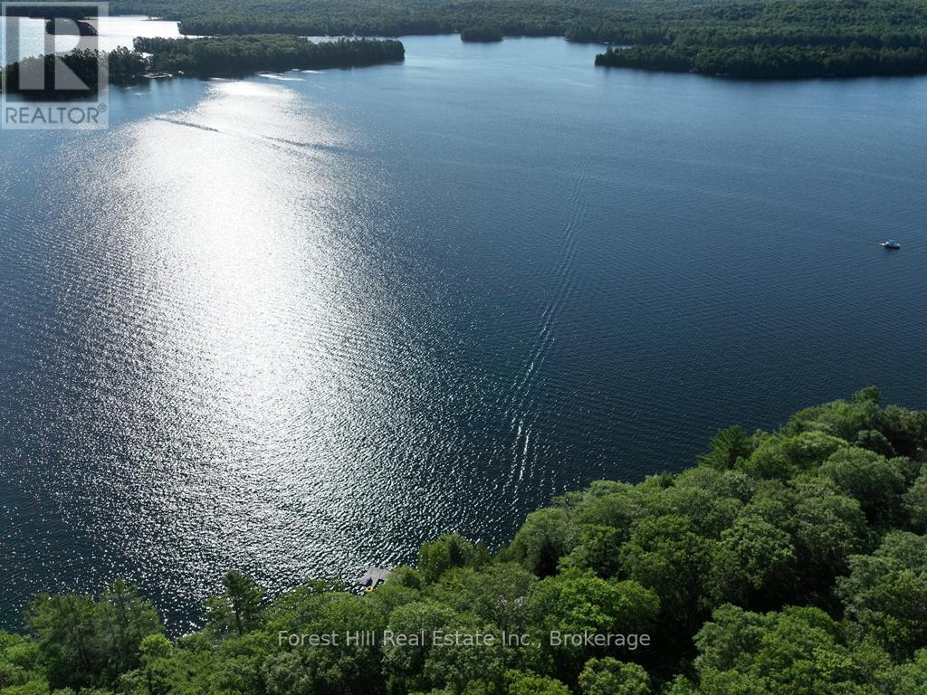 10689 Kawagama Lake Wao, Algonquin Highlands (Sherborne), Ontario  P0A 1E0 - Photo 10 - X13704202
