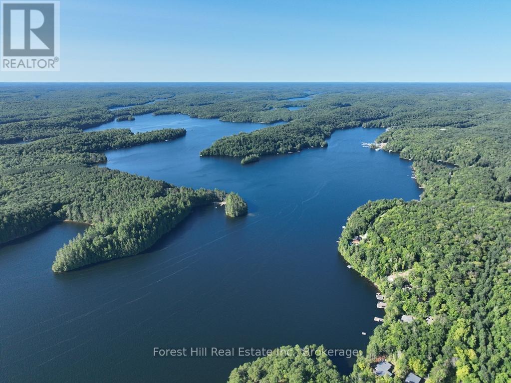 10689 Kawagama Lake Wao, Algonquin Highlands (Sherborne), Ontario  P0A 1E0 - Photo 11 - X13704202