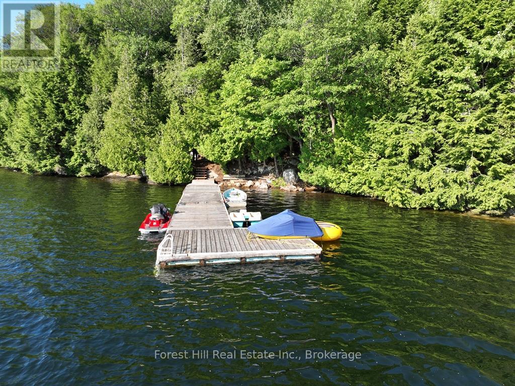 10689 Kawagama Lake Wao, Algonquin Highlands (Sherborne), Ontario  P0A 1E0 - Photo 3 - X13704202