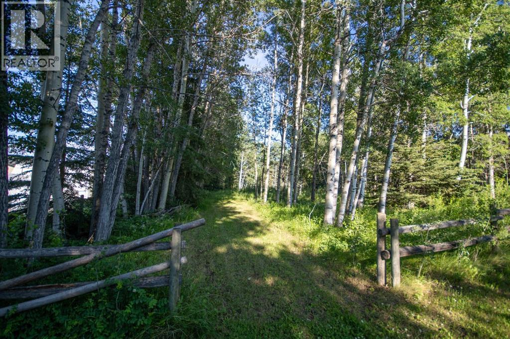 12, 32479 Highway 760  E, Rural Mountain View County, Alberta  T0M 1X0 - Photo 10 - A2329594
