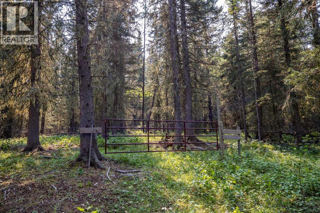 264033 Range Road 71, Rural Bighorn No. 8, Alberta  T0L 1N0 - Photo 32 - A2339494