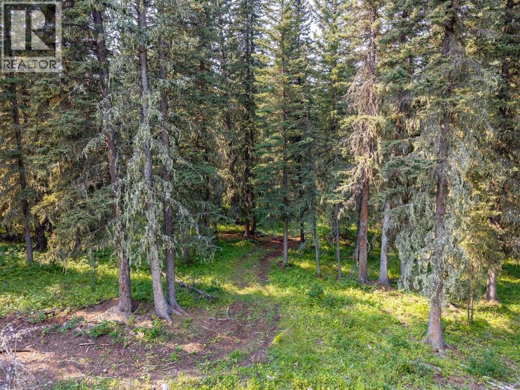 264033 Range Road 71, Rural Bighorn No. 8, Alberta  T0L 1N0 - Photo 35 - A2339494