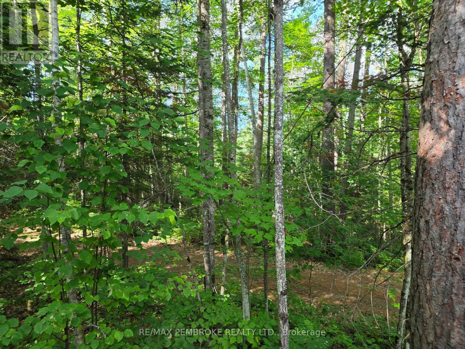 5032 Round Lake Road, Hagarty And Richards, Ontario  K0J 2A0 - Photo 33 - X13704348