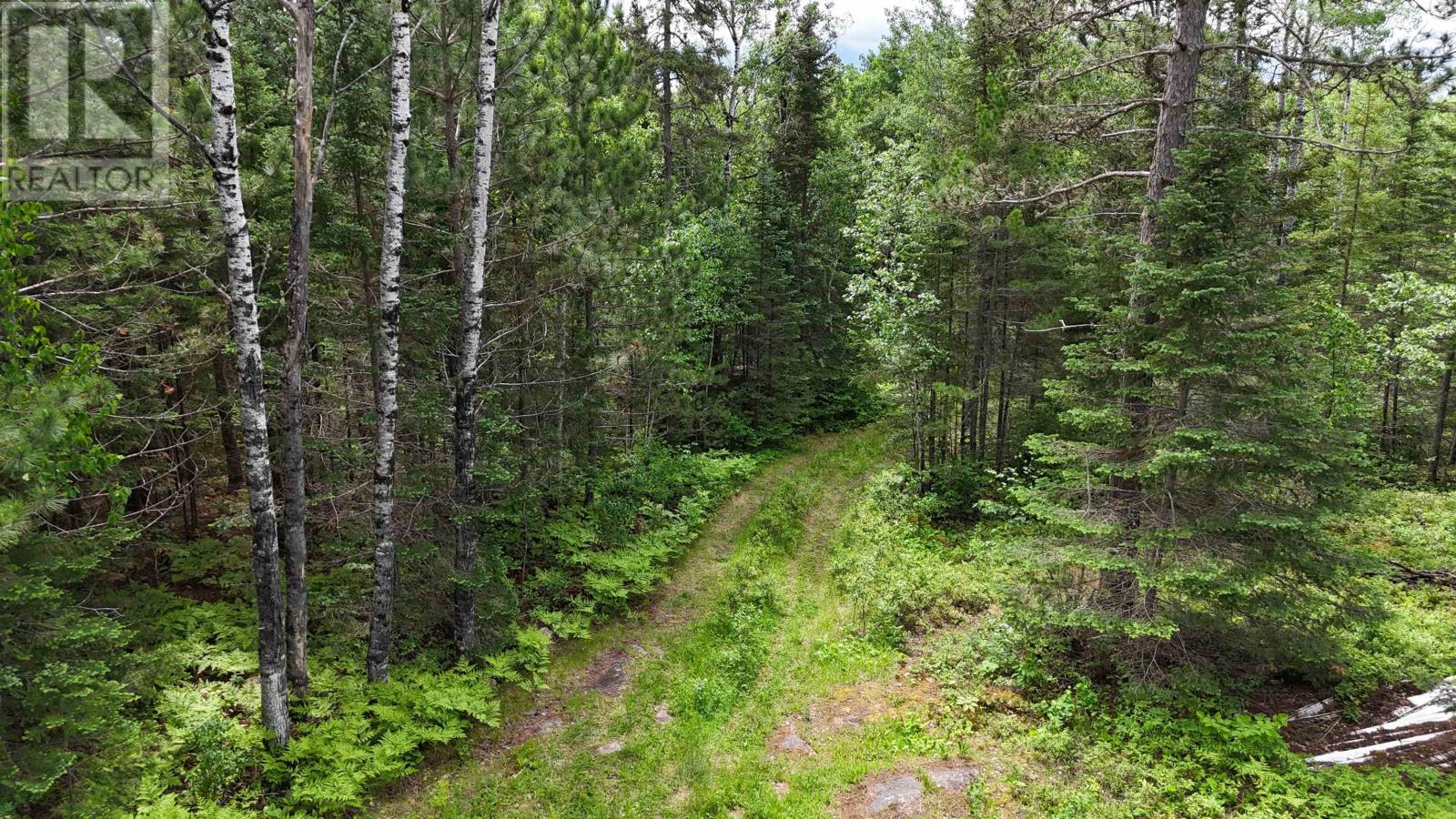 242 Longbow Lake Road, Longbow Lake, Ontario  P0X 1H0 - Photo 37 - TB2601666